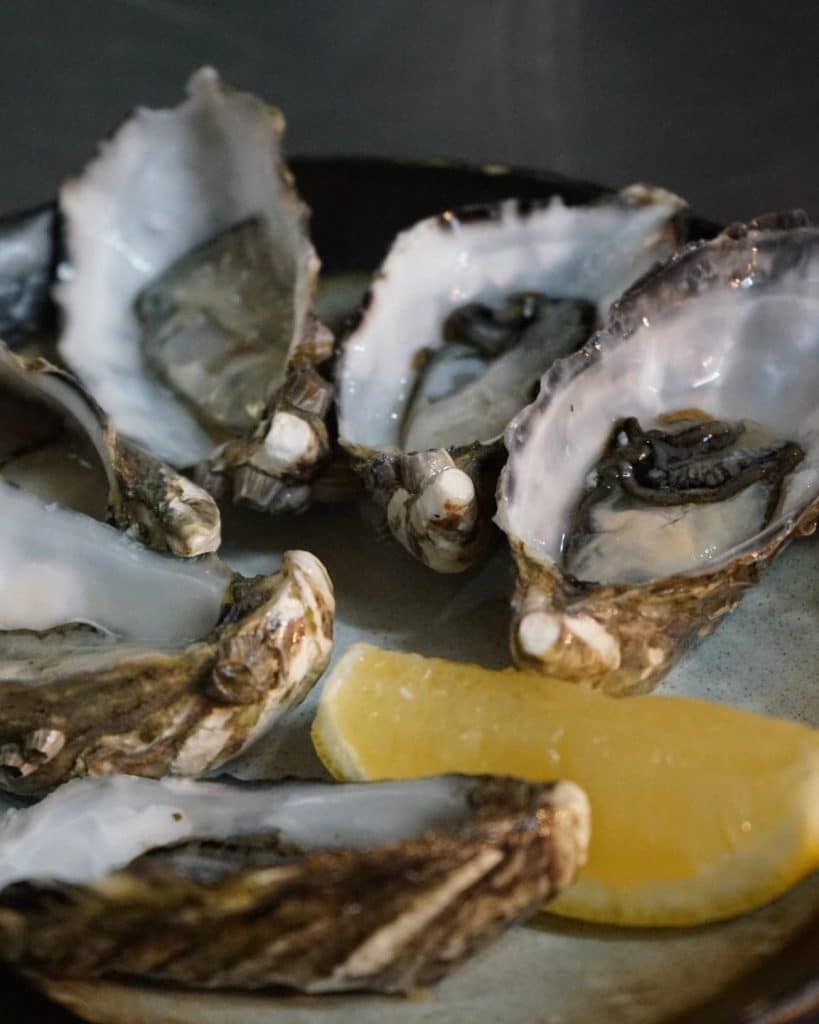 calling oyster lovers